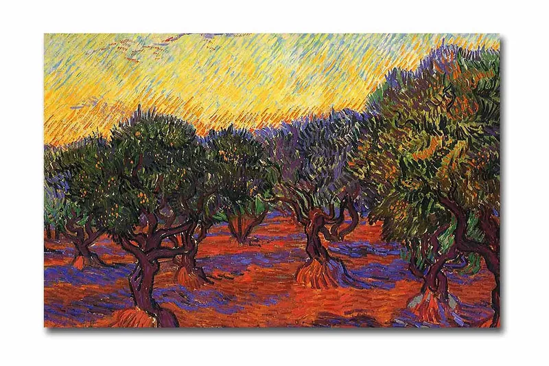 Canvas-taulu 70x45 cm - Oliivitarha värikkään taivaan alla, Vihreä / Oranssi / Violetti