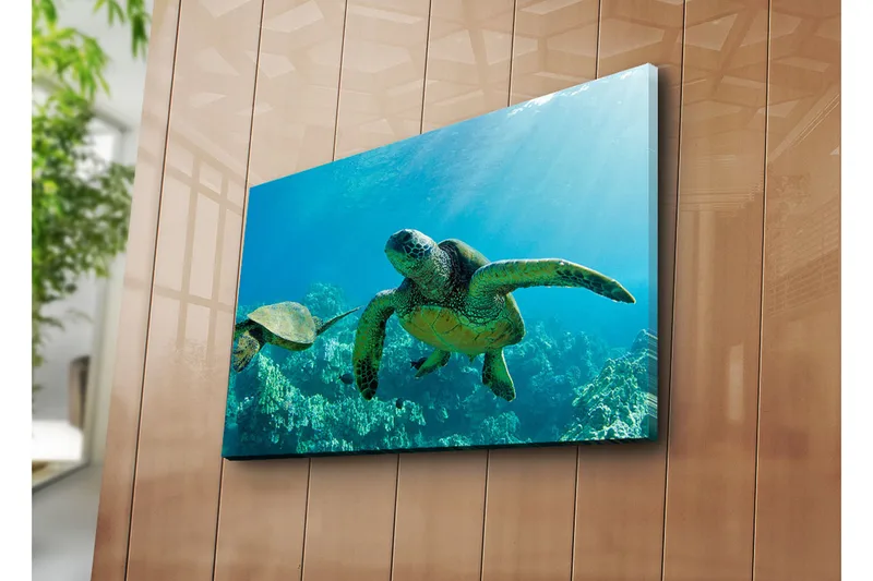 Canvas-taulu 70x45 cm - Uivat kilpikonnat kirkkaan sinisessä vedessä, Sininen / Vihreä / Beige