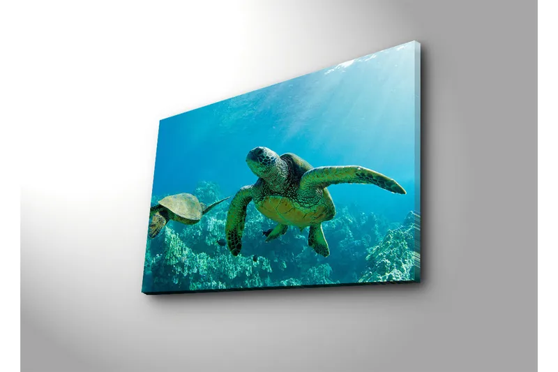 Canvas-taulu 70x45 cm - Uivat kilpikonnat kirkkaan sinisessä vedessä - Sininen / Vihreä / Beige - Sisustustuotteet - Taulu & taide - Canvas-taulu