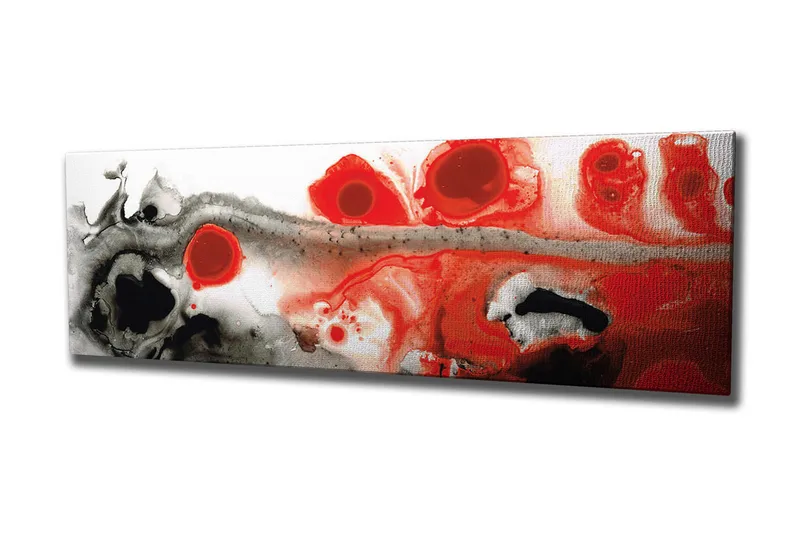 Canvas-taulu 80x30 cm - Abstrakti sommitelma punaisilla ja mustilla muodoilla, Punainen / Musta / Valkoinen