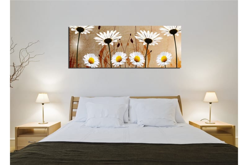 Canvas-taulu 80x30 cm - Kauniita päivänkakkaroita harmonisessa sommitelmassa - Valkoinen / Keltainen / Beige - Sisustustuotteet - Taulu & taide - Canvas-taulu