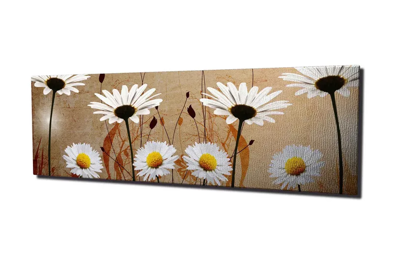 Canvas-taulu 80x30 cm - Kauniita päivänkakkaroita harmonisessa sommitelmassa - Valkoinen / Keltainen / Beige - Sisustustuotteet - Taulu & taide - Canvas-taulu