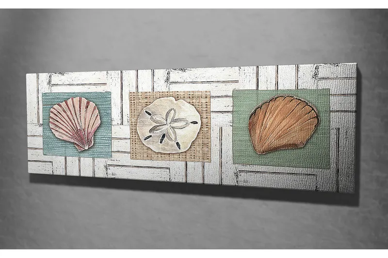 Canvas-taulu 80x30 cm - Kolme erilaista simpukkaa värillisillä taustoilla - Vihreä / Beige / Vaaleanpunainen - Sisustustuotteet - Taulu & taide - Canvas-taulu