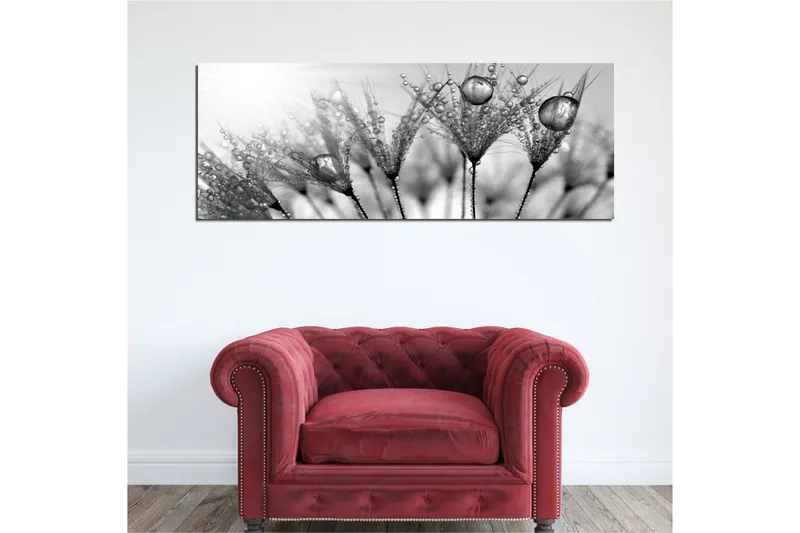 Canvas-taulu 80x30 cm - mustavalkoinen kuva vesipisaroista höyhenillä - Musta / Valkoinen / Harmaa - Sisustustuotteet - Taulu & taide - Canvas-taulu