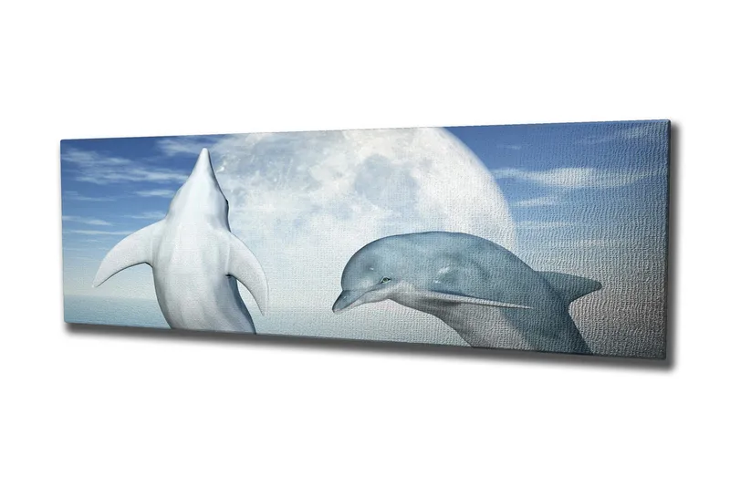 Canvas-taulu 80x30 cm - Sukeltavat delfiinit täysikuun alla, Sininen / Valkoinen / Harmaa