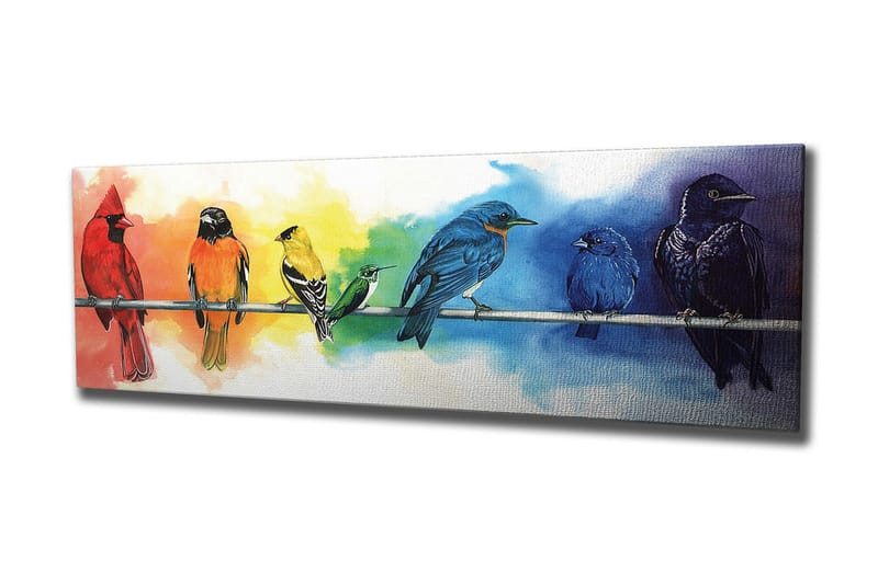 Canvas-taulu 80x30 cm - Värikäs lintukokoelma oksalla - Punainen / Sininen / Keltainen - Sisustustuotteet - Taulu & taide - Canvas-taulu