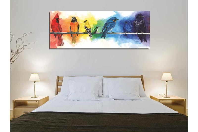 Canvas-taulu 80x30 cm - Värikäs lintukokoelma oksalla - Punainen / Sininen / Keltainen - Sisustustuotteet - Taulu & taide - Canvas-taulu