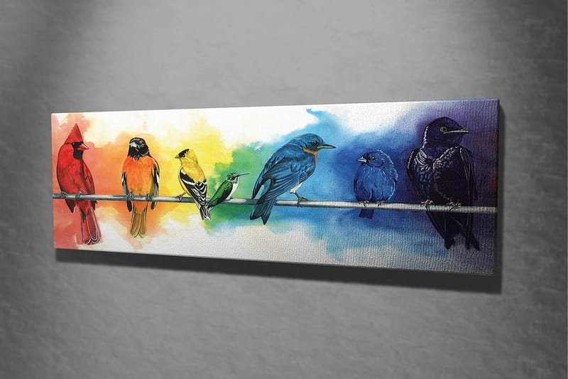 Canvas-taulu 80x30 cm - Värikäs lintukokoelma oksalla - Punainen / Sininen / Keltainen - Sisustustuotteet - Taulu & taide - Canvas-taulu