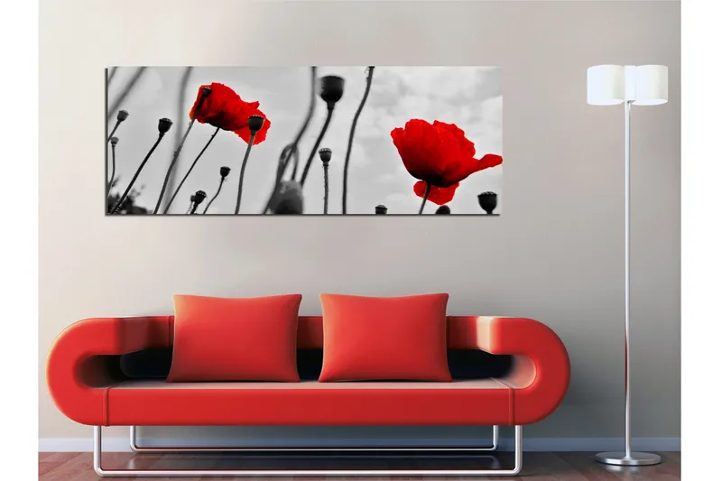 Canvas-taulu 80x30 cm - Punainen unikko mustavalkoista taustaa vasten - Punainen / Musta / Harmaa - Sisustustuotteet - Taulu & taide - Canvas-taulu