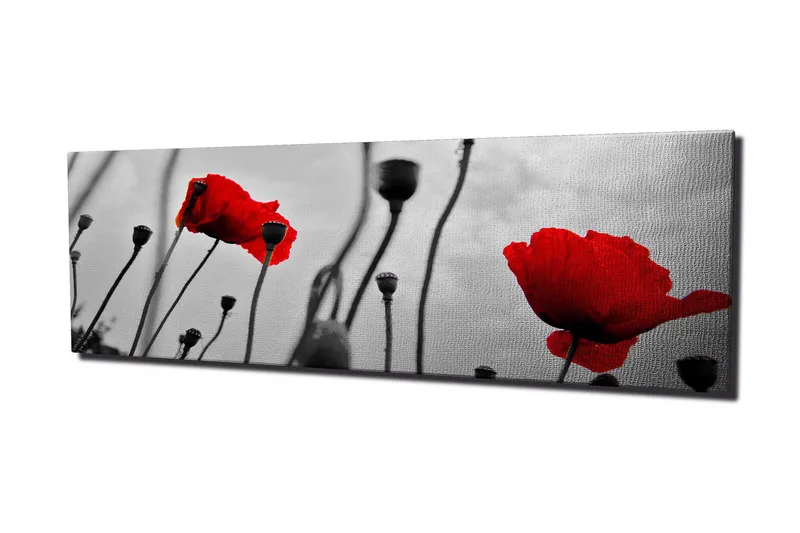 Canvas-taulu 80x30 cm - Punainen unikko mustavalkoista taustaa vasten, Punainen / Musta / Harmaa