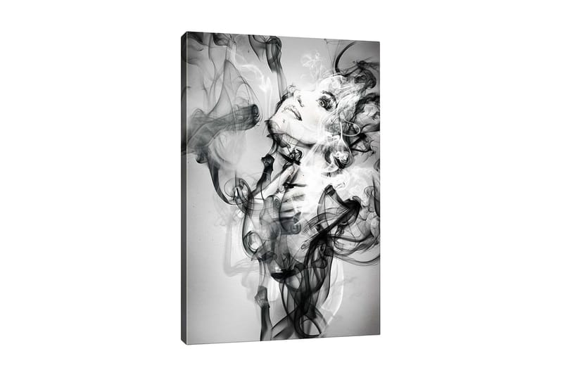 Canvas-taulu - Abstrakti muotokuva naisesta savuisten muotojen ympäröimänä, Musta / Valkoinen / Harmaa