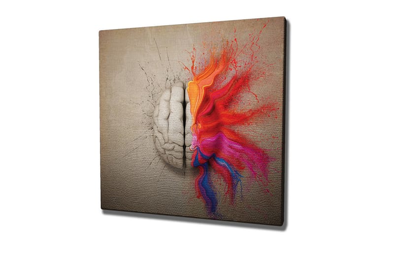 Canvas-taulu - Aivot täynnä värikkäitä luovuuden räjähdyksiä, Punainen / Oranssi / Vaaleanpunainen