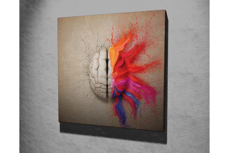 Canvas-taulu - Aivot täynnä värikkäitä luovuuden räjähdyksiä - Punainen / Oranssi / Vaaleanpunainen - Sisustustuotteet - Taulu & taide - Canvas-taulu