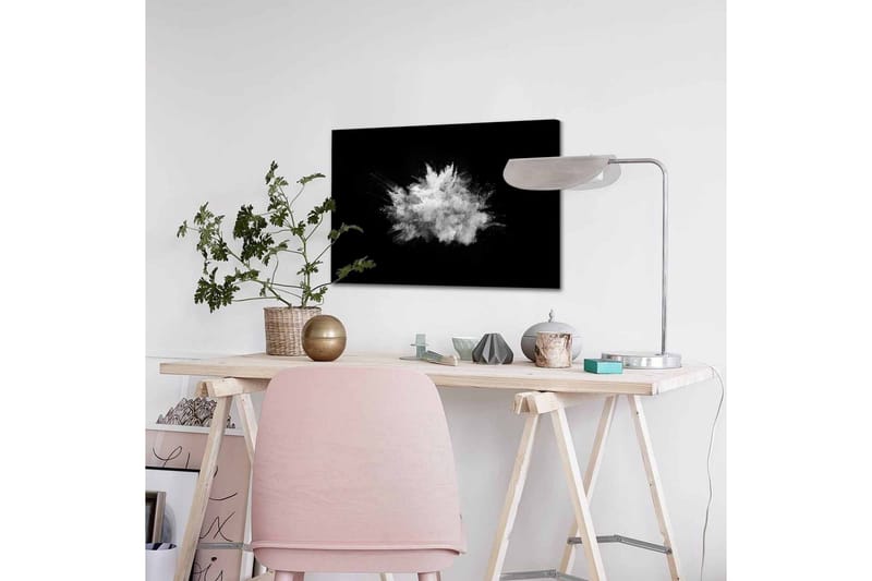 Canvas-taulu - Dramaattinen jauhepilvi räjähtää mustaa taustaa vasten - Valkoinen / Musta - Sisustustuotteet - Taulu & taide - Canvas-taulu