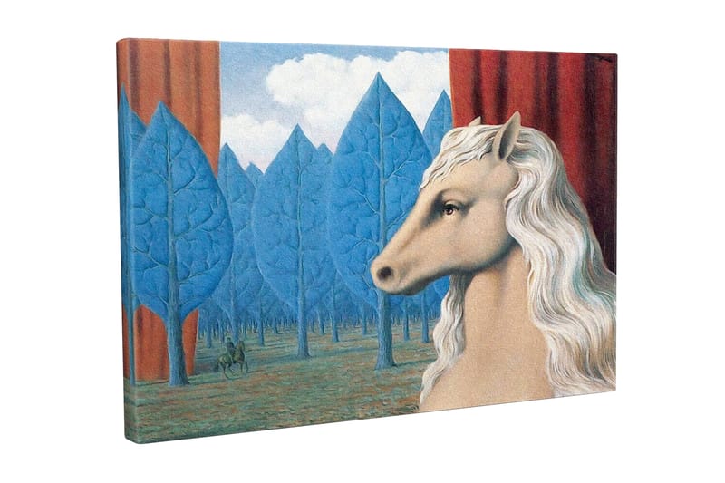 Canvas-taulu - Hevosen pää valkoisella harjalla unenomaisessa metsäympäristössä, Sininen / Punainen / Beige