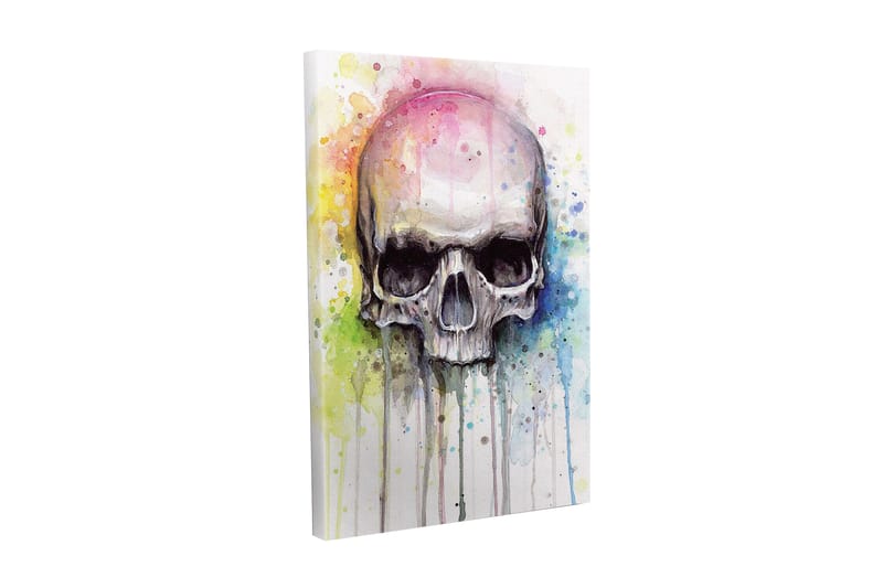 Canvas-taulu - Kallo värikkäillä vesiväriroiskeilla taustalla, Musta / Vaaleansininen / Keltainen