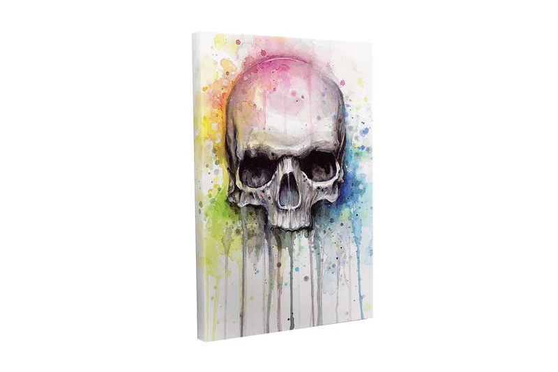 Canvas-taulu - Kallo värikkäillä vesiväriroiskeilla taustalla, Musta / Vaaleansininen / Keltainen