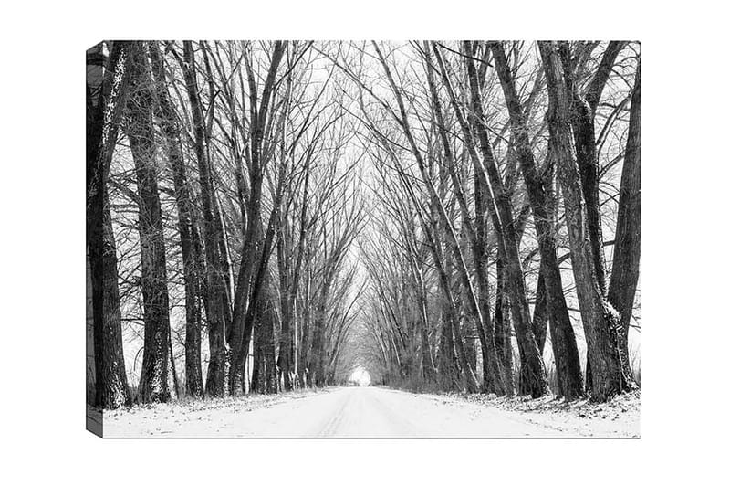 Canvas-taulu - Karu paljaiden puiden kuja talvimaisemassa - Musta / Valkoinen / Harmaa - Sisustustuotteet - Taulu & taide - Canvas-taulu