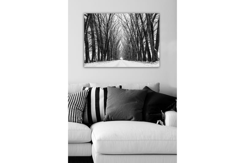 Canvas-taulu - Karu paljaiden puiden kuja talvimaisemassa - Musta / Valkoinen / Harmaa - Sisustustuotteet - Taulu & taide - Canvas-taulu