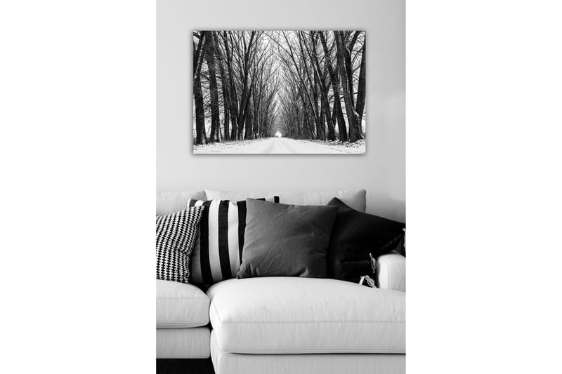Canvas-taulu - Karu paljaiden puiden kuja talvimaisemassa - Musta / Valkoinen / Harmaa - Sisustustuotteet - Taulu & taide - Canvas-taulu