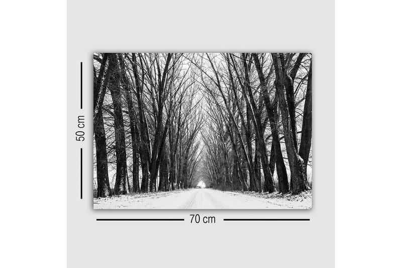 Canvas-taulu - Karu paljaiden puiden kuja talvimaisemassa - Musta / Valkoinen / Harmaa - Sisustustuotteet - Taulu & taide - Canvas-taulu