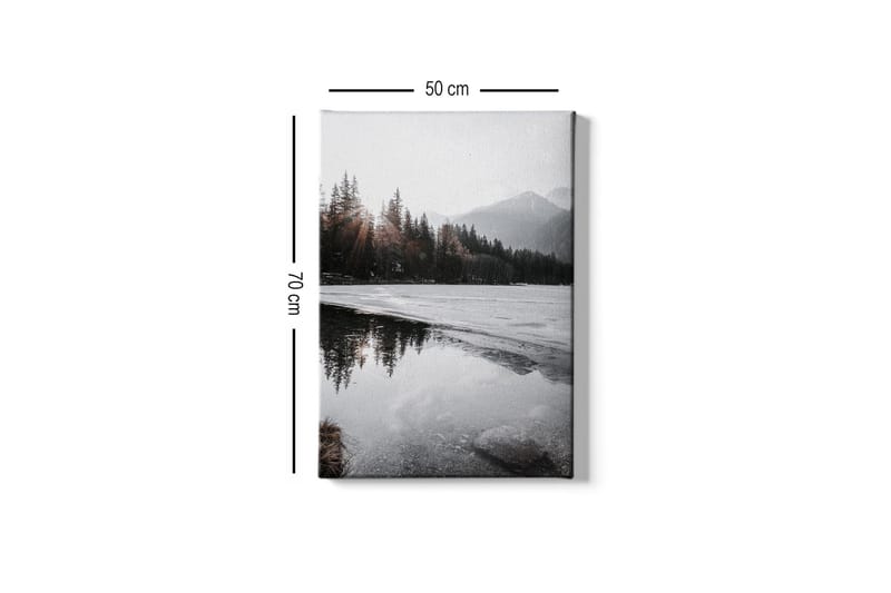 Canvas-taulu - Kaunis talvimaisema jäätyneillä järvillä ja lumipeitteisillä vuorilla - Harmaa / Valkoinen / Tummanvihreä - Sisustustuotteet - Taulu & taide - Canvas-taulu