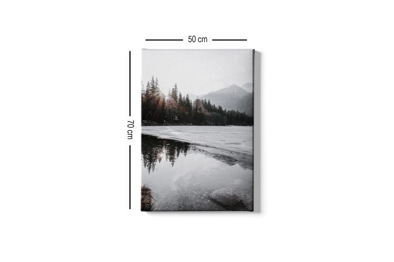 Canvas-taulu - Kaunis talvimaisema jäätyneillä järvillä ja lumipeitteisillä vuorilla - Harmaa / Valkoinen / Tummanvihreä - Sisustustuotteet - Taulu & taide - Canvas-taulu