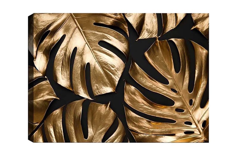 Canvas-taulu - Kiiltävät monsteran lehdet kultaisissa sävyissä, Kulta / Musta
