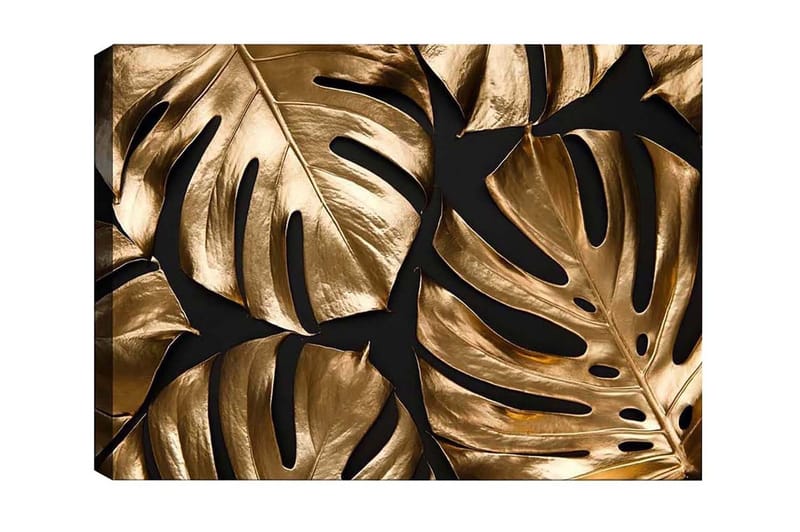 Canvas-taulu - Kiiltävät monsteran lehdet kultaisissa sävyissä, Kulta / Musta