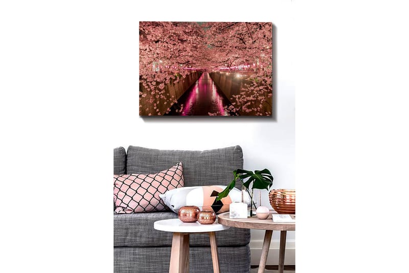 Canvas-taulu - Kirsikankukkia kanavan rannalla - Vaaleanpunainen / Vihreä / Violetti - Sisustustuotteet - Taulu & taide - Canvas-taulu