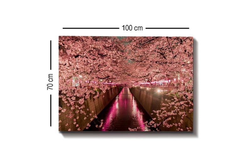 Canvas-taulu - Kirsikankukkia kanavan rannalla - Vaaleanpunainen / Vihreä / Violetti - Sisustustuotteet - Taulu & taide - Canvas-taulu