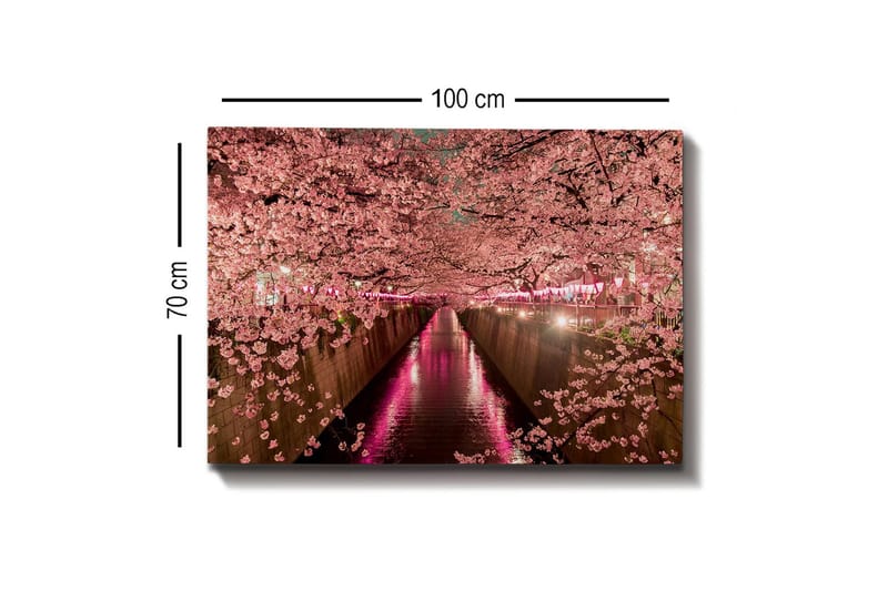 Canvas-taulu - Kirsikankukkia kanavan rannalla - Vaaleanpunainen / Vihreä / Violetti - Sisustustuotteet - Taulu & taide - Canvas-taulu
