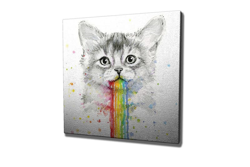 Canvas-taulu - Kissa sateenkaaren värisessä oksennuksessa, Harmaa / Sateenkaari (punainen / oranssi
