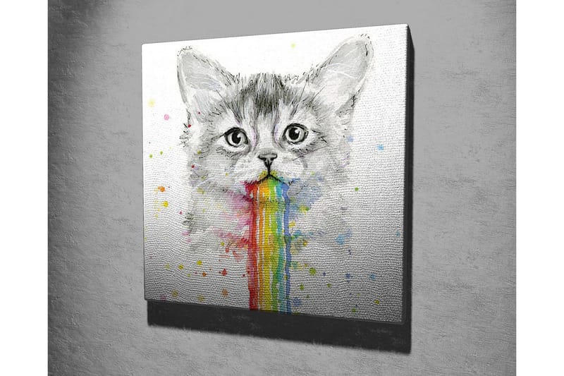 Canvas-taulu - Kissa sateenkaaren värisessä oksennuksessa - Harmaa / Sateenkaari (punainen / oranssi - Sisustustuotteet - Taulu & taide - Canvas-taulu