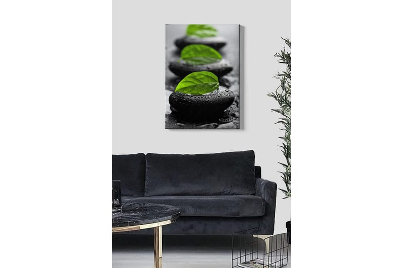 Canvas-taulu - Kivilohkot vihreillä lehdillä ja vesipisaroilla - Musta / Vihreä - Sisustustuotteet - Taulu & taide - Canvas-taulu
