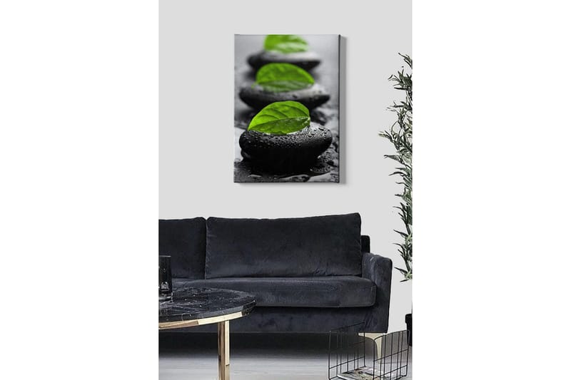 Canvas-taulu - Kivilohkot vihreillä lehdillä ja vesipisaroilla - Musta / Vihreä - Sisustustuotteet - Taulu & taide - Canvas-taulu