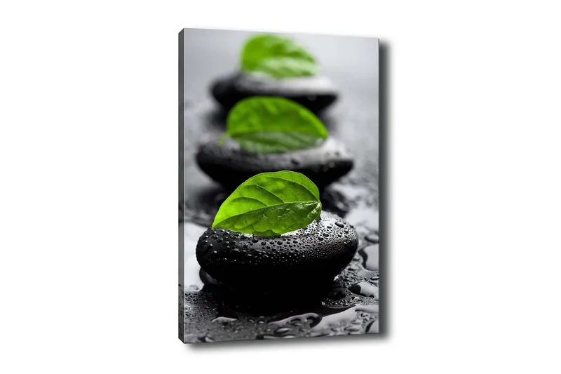 Canvas-taulu - Kivilohkot vihreillä lehdillä ja vesipisaroilla, Musta / Vihreä