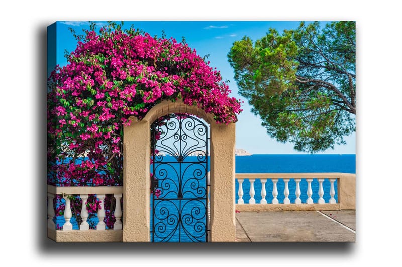 Canvas-taulu - Kukkiva bougainvillea takorautaportin vieressä merinäköalalla, Vaaleanpunainen / Sininen / Vihreä