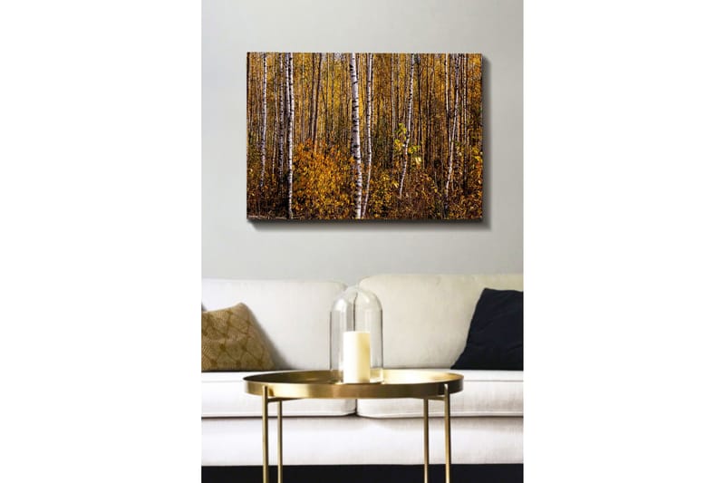 Canvas-taulu - Kultainen syksyinen metsä koivujen kanssa - Keltainen / Valkoinen / Ruskea - Sisustustuotteet - Taulu & taide - Canvas-taulu