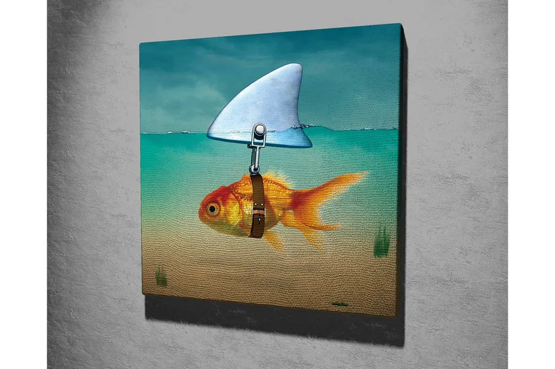 Canvas-taulu - Kultakala evineen uimassa kirkkaassa vedessä - Turkoosi / Oranssi / Beige - Sisustustuotteet - Taulu & taide - Canvas-taulu