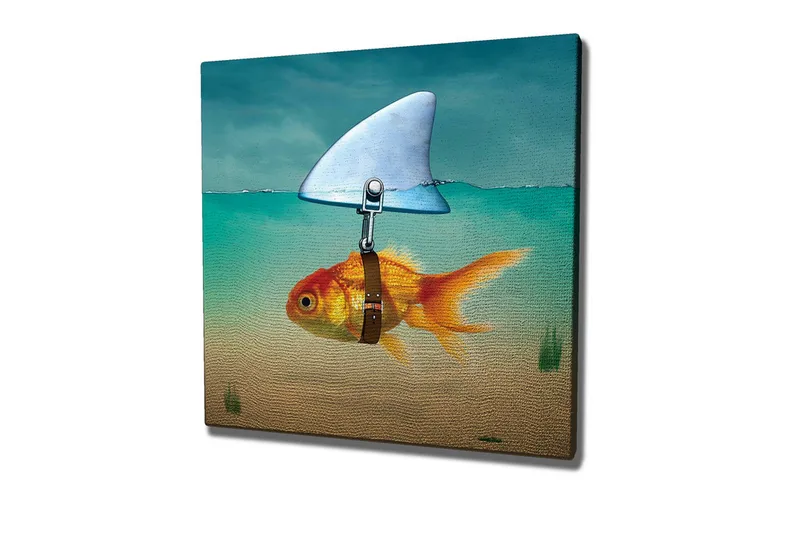 Canvas-taulu - Kultakala evineen uimassa kirkkaassa vedessä, Turkoosi / Oranssi / Beige