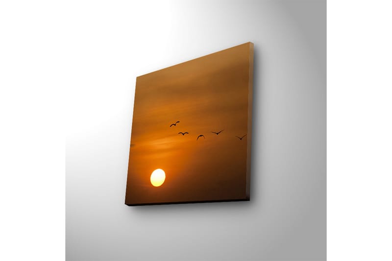 Canvas-taulu LED-valaistuksella 28x28 cm - Auringonlasku lentävien lintujen kanssa - Oranssi / Keltainen / Musta - Sisustustuotteet - Taulu & taide - Canvas-taulu