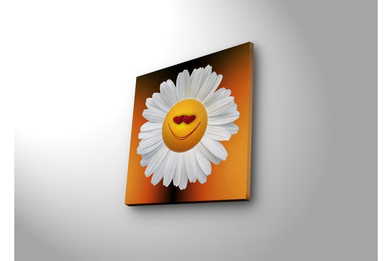 Canvas-taulu LED-valaistuksella 28x28 cm - Iloinen kukka hymyilevillä kasvoilla ja sydämenmuotoisilla silmillä - Valkoinen / Oranssi / Keltainen - Sisustustuotteet - Taulu & taide - Canvas-taulu