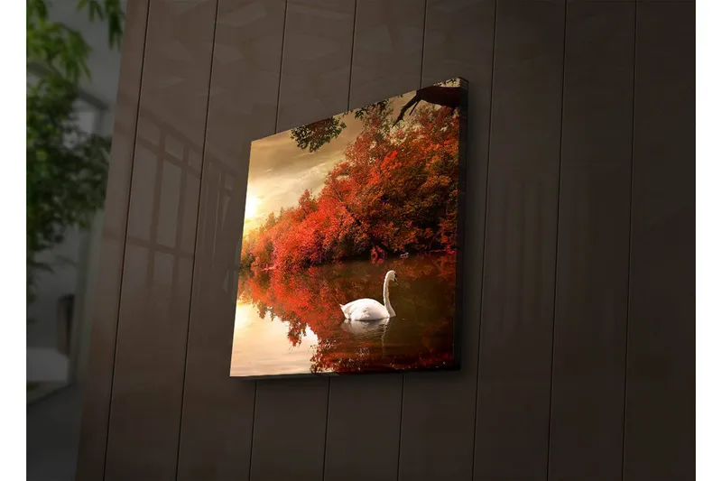 Canvas-taulu LED-valaistuksella 28x28 cm - Joutsen ui peilimäisessä järvessä syksyn väristen puiden ympäröimänä, Punainen / Valkoinen / Oranssi