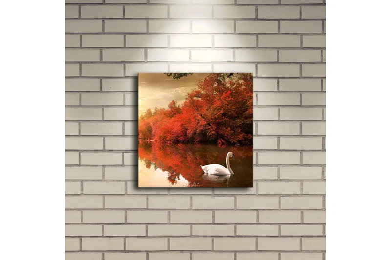 Canvas-taulu LED-valaistuksella 28x28 cm - Joutsen ui peilimäisessä järvessä syksyn väristen puiden ympäröimänä - Punainen / Valkoinen / Oranssi - Sisustustuotteet - Taulu & taide - Canvas-taulu