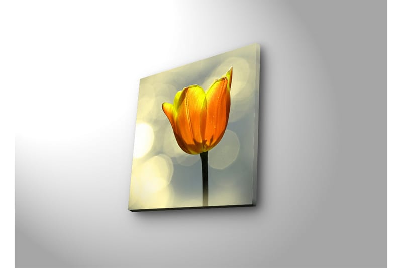 Canvas-taulu LED-valaistuksella 28x28 cm - Kaunis tulppaani kirkkaan oranssissa värissä - Oranssi / Vihreä / Musta - Sisustustuotteet - Taulu & taide - Canvas-taulu