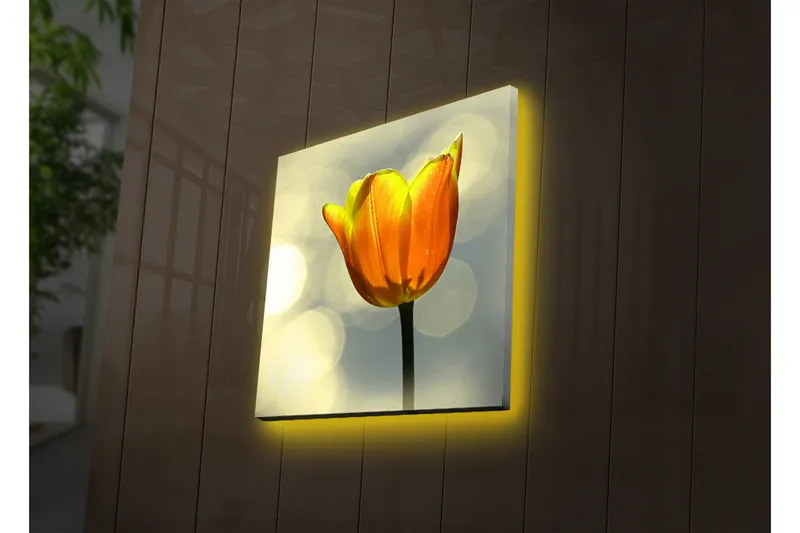 Canvas-taulu LED-valaistuksella 28x28 cm - Kaunis tulppaani kirkkaan oranssissa värissä - Oranssi / Vihreä / Musta - Sisustustuotteet - Taulu & taide - Canvas-taulu