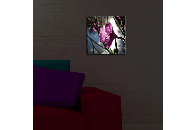 Canvas-taulu LED-valaistuksella 28x28 cm - Kaunis vaaleanpunainen kukka taustavalossa - Vaaleanpunainen / Vihreä / Sininen - Sisustustuotteet - Taulu & taide - Canvas-taulu
