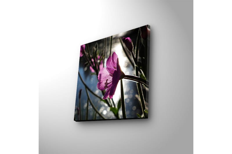 Canvas-taulu LED-valaistuksella 28x28 cm - Kaunis vaaleanpunainen kukka taustavalossa - Vaaleanpunainen / Vihreä / Sininen - Sisustustuotteet - Taulu & taide - Canvas-taulu