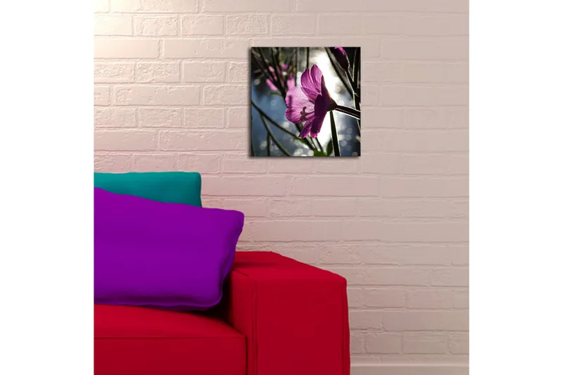 Canvas-taulu LED-valaistuksella 28x28 cm - Kaunis vaaleanpunainen kukka taustavalossa - Vaaleanpunainen / Vihreä / Sininen - Sisustustuotteet - Taulu & taide - Canvas-taulu